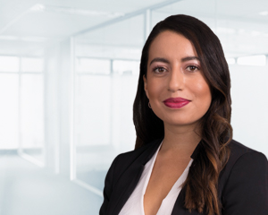 Mimi_Gomez_Associate_Wealth_Director_Family_Wealth_Management_team Mimi_Gomez_Associate_Wealth_Director_Family_Wealth_Management_team